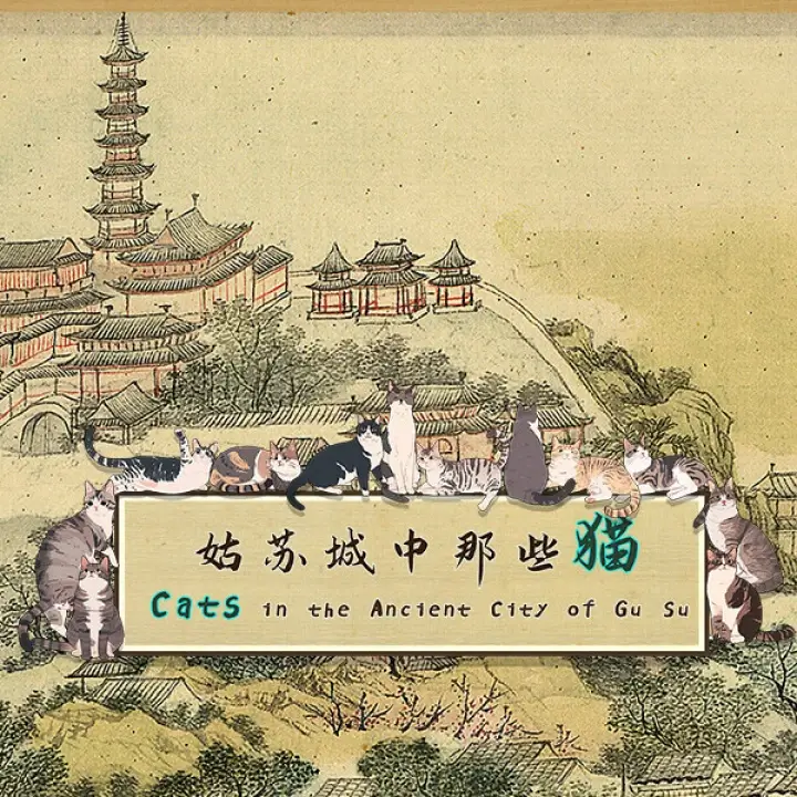 姑苏城中那些猫