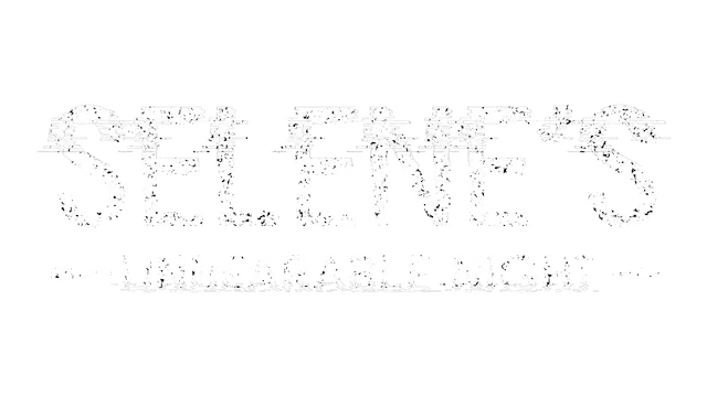 瑟琳的受苦之夜 | Selene’s Unbearable Night |