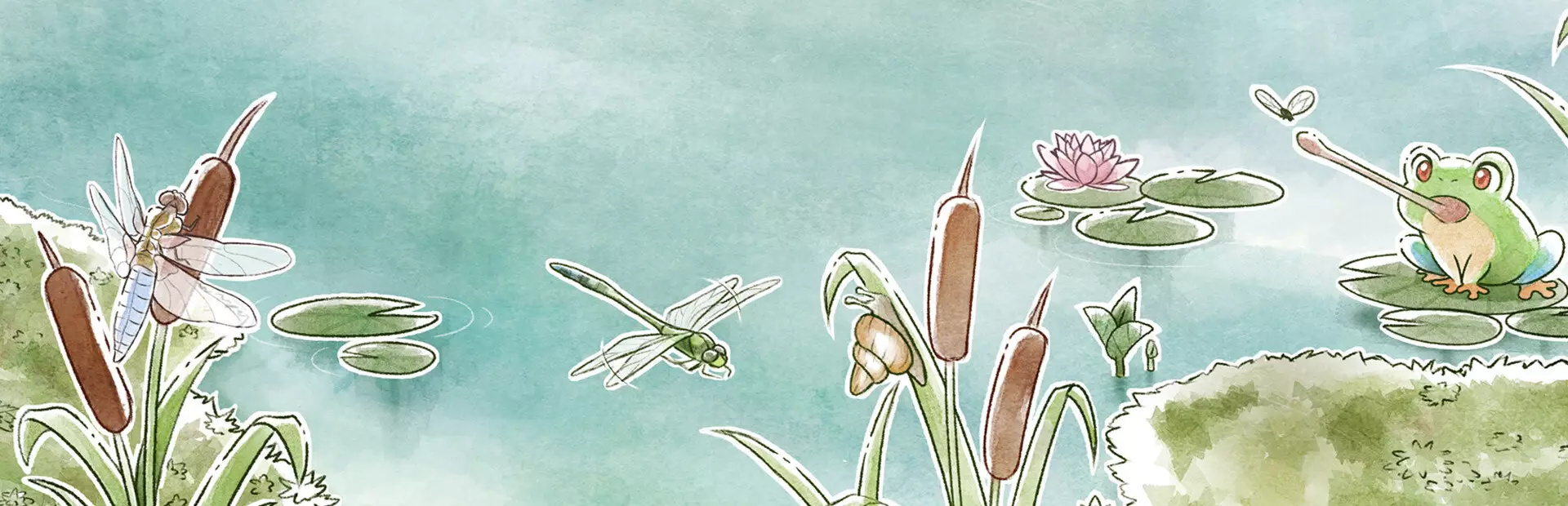 Kamaeru：世蛙桃源