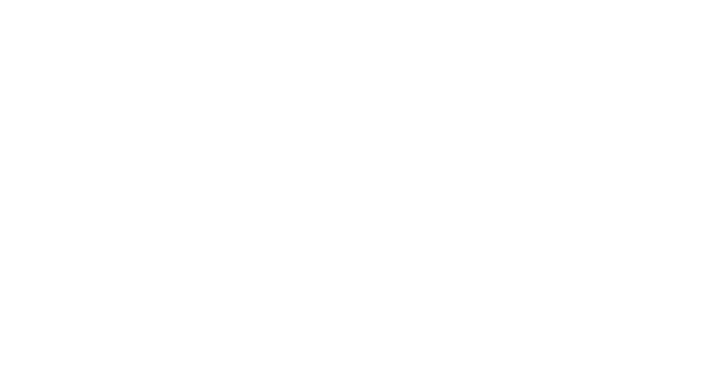 飞行快递模拟器：货运业务 | Flight Simulator Delivery: Cargo Business |