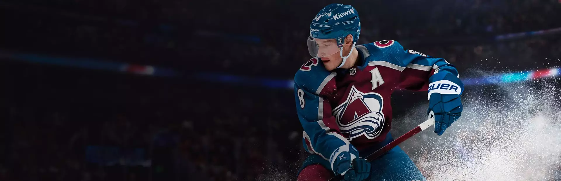 北美职业冰球联赛 24