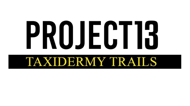 项目 13：标本制作之路 | Project 13: Taxidermy Trails