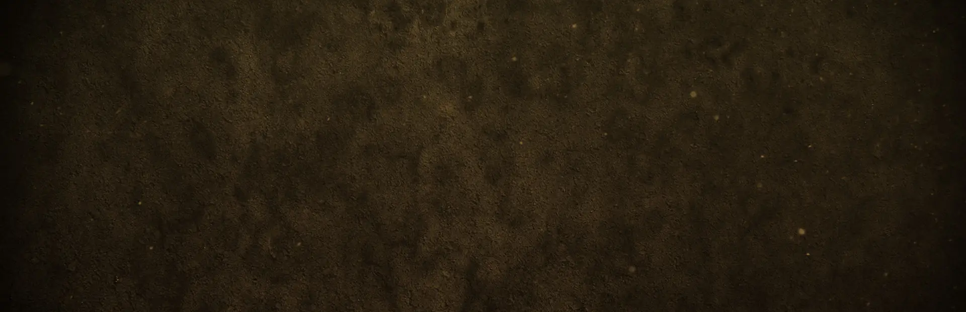 铁血联盟：黄金版