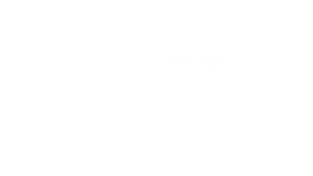 雷霆孤影 | Voin