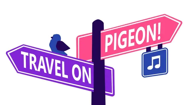 旅游鸽子 | Travel On, Pigeon!