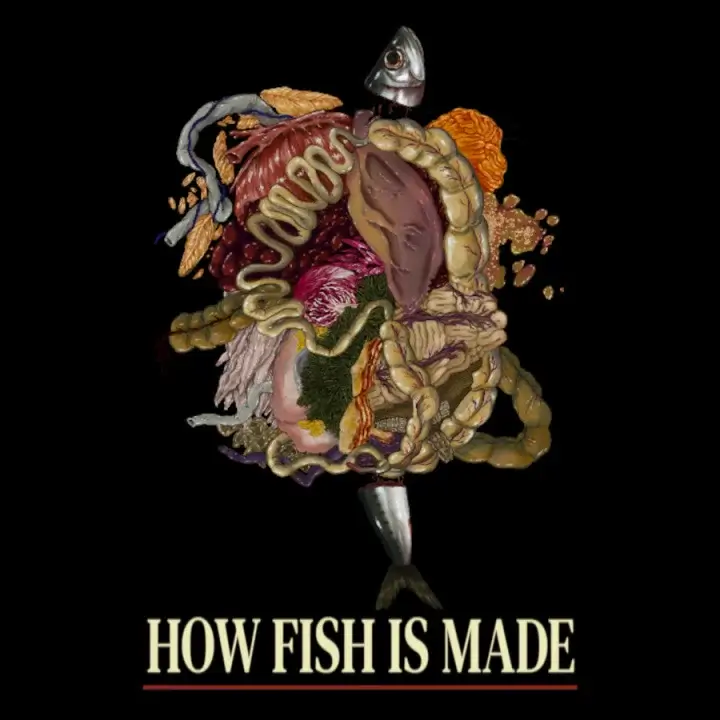 鱼是怎样炼成的