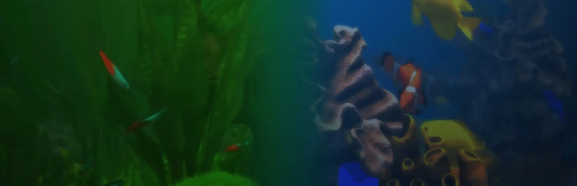 玻璃背后：水族馆模拟器