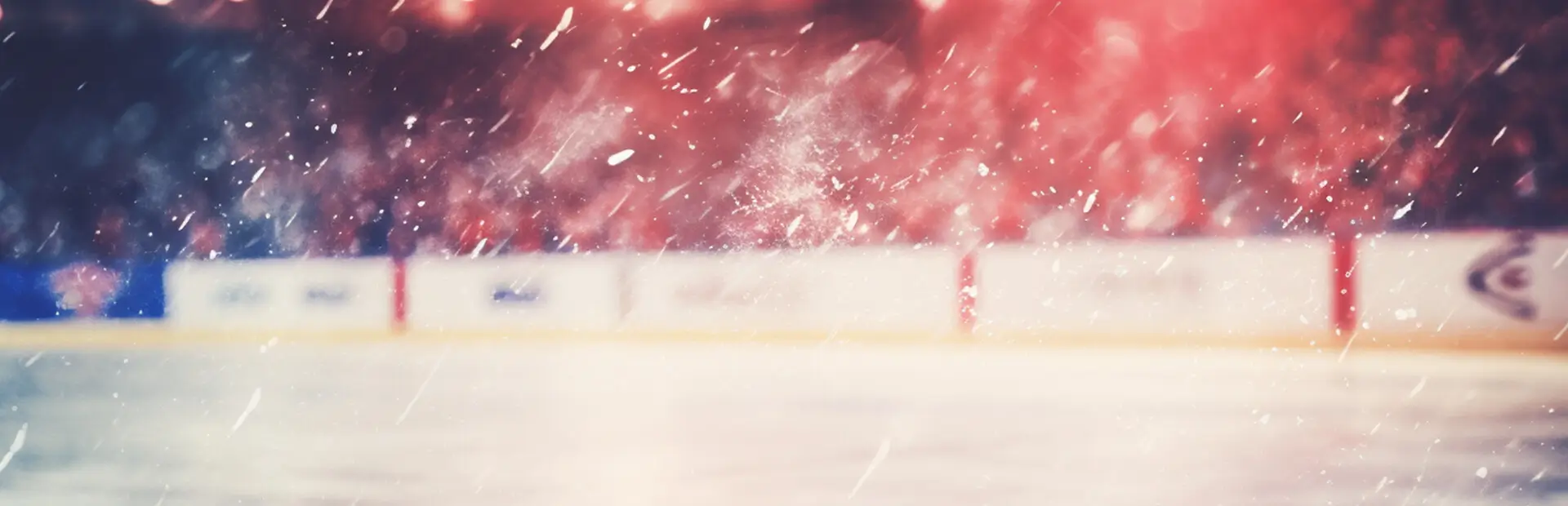 特许经营曲棍球经理 11