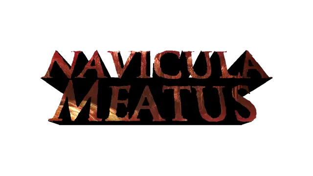 脉络航道 | Navicula Meatus