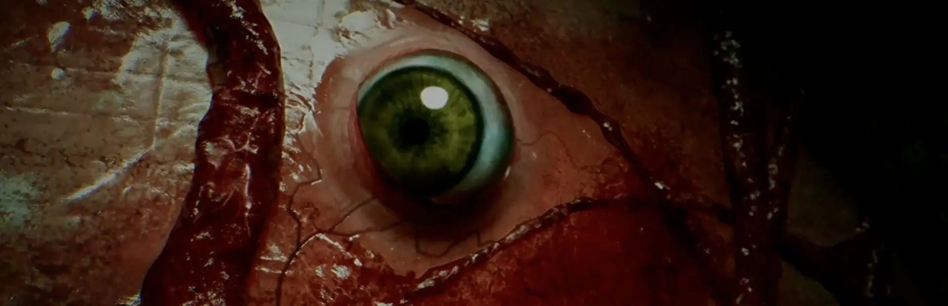 破碎怪谈：切勿直视