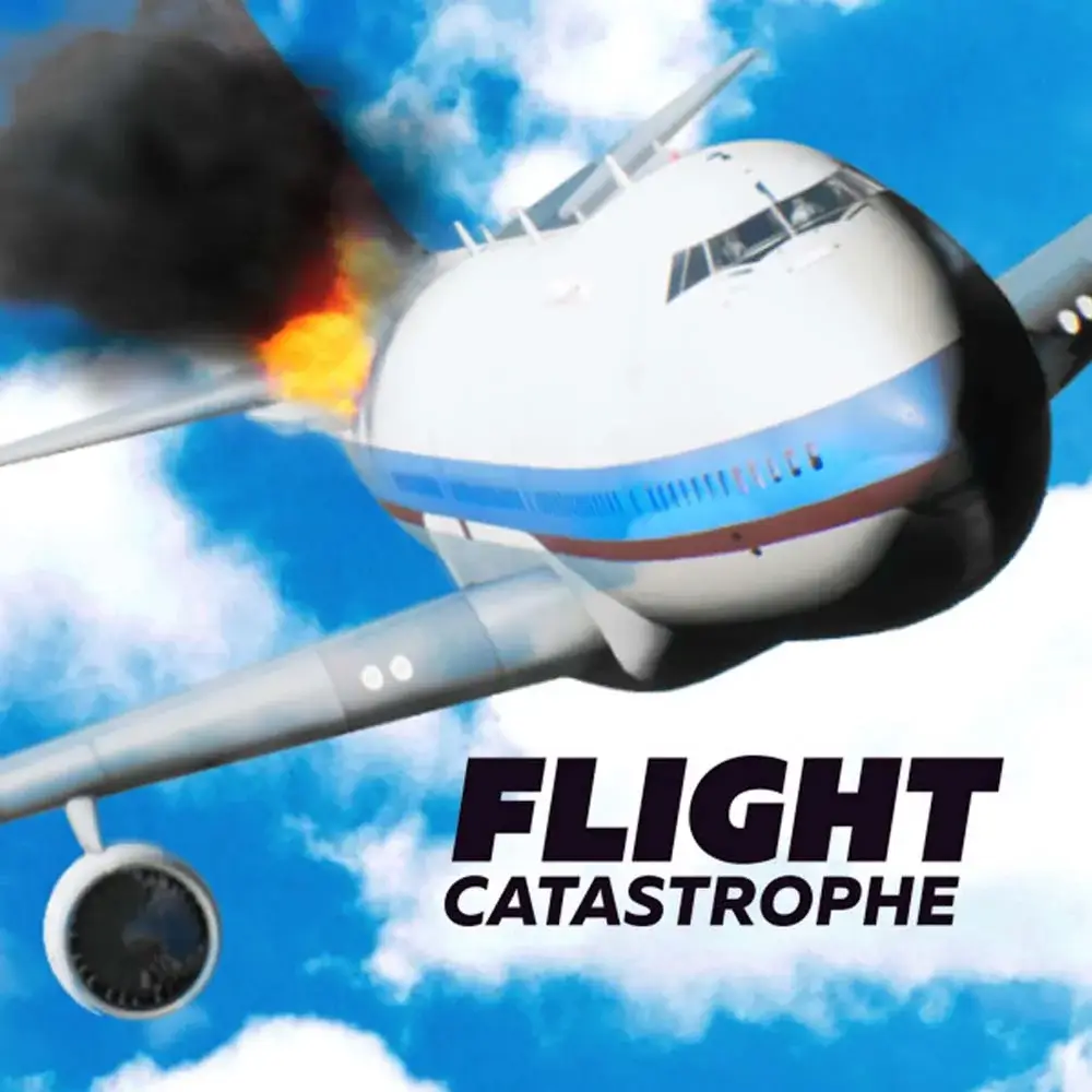 飞行灾难