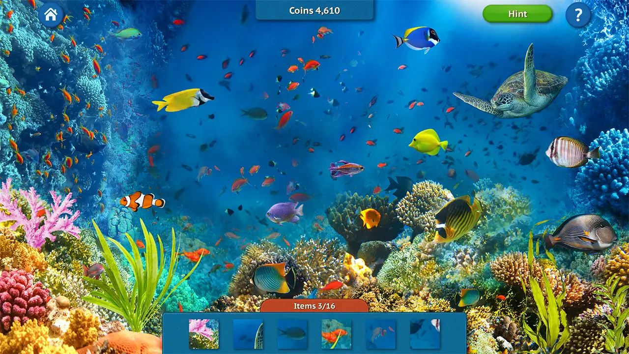 找全物品：典藏版-Find All Things - Collector's Edition-游戏截图-好玩游戏库