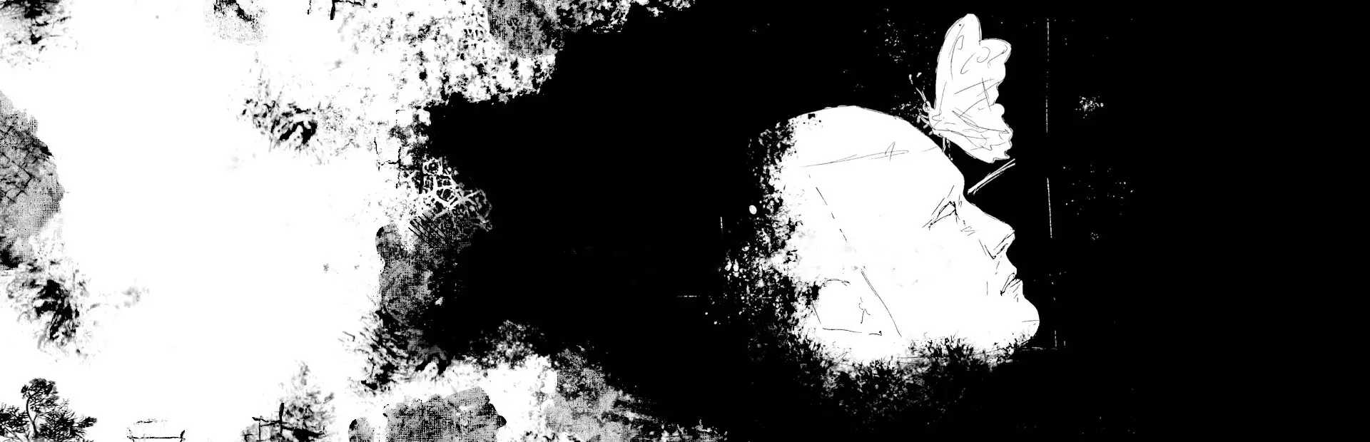 马格努斯 - 伊马格