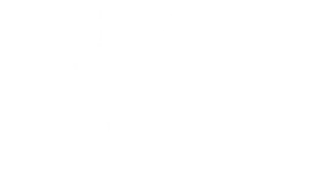 堡垒：猎鹰战纪 | Bulwark Evolution: Falconeer Chronicles