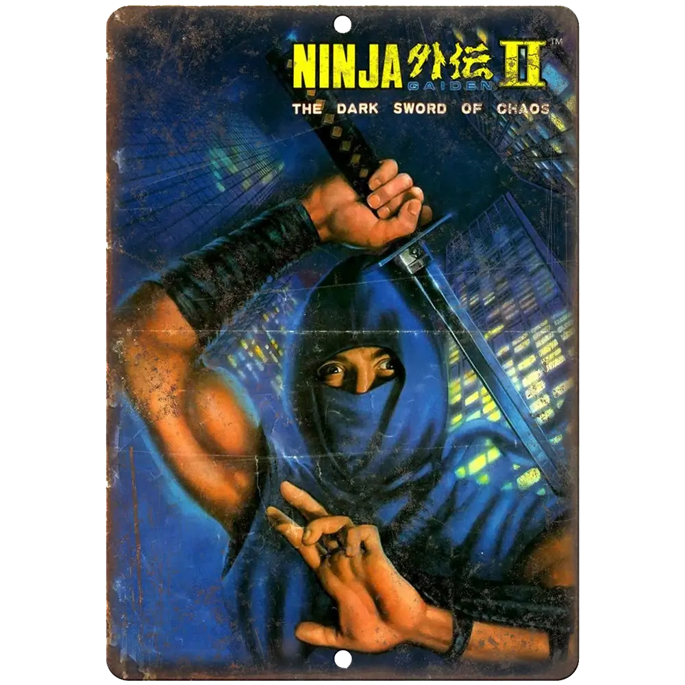 忍者龙剑传 2：暗黑邪神剑-Ninja Gaiden II: The Dark Sword of Chaos-游戏截图-好玩游戏库