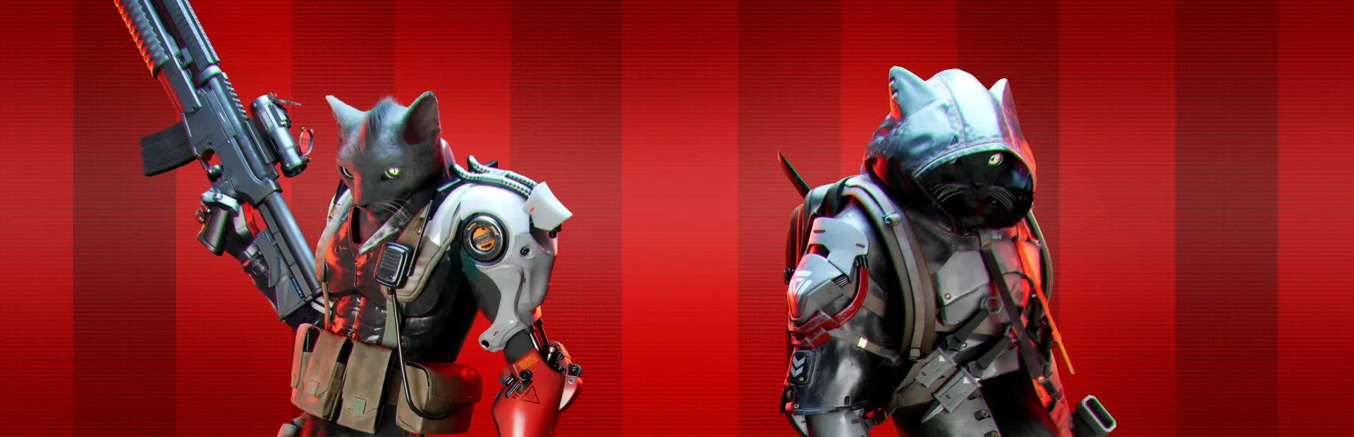 心灵猫战：初次反击