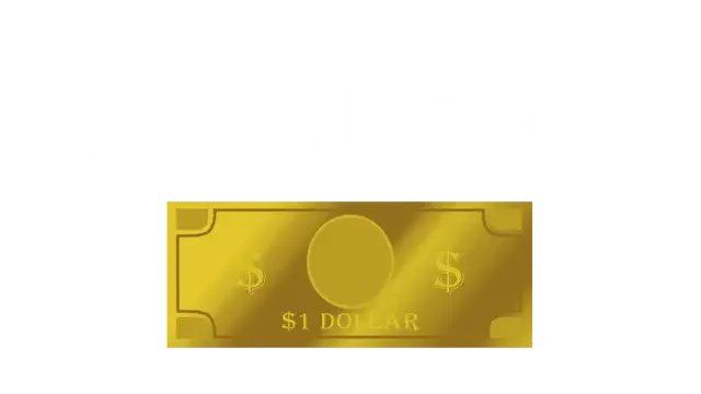 美元 | Dollar