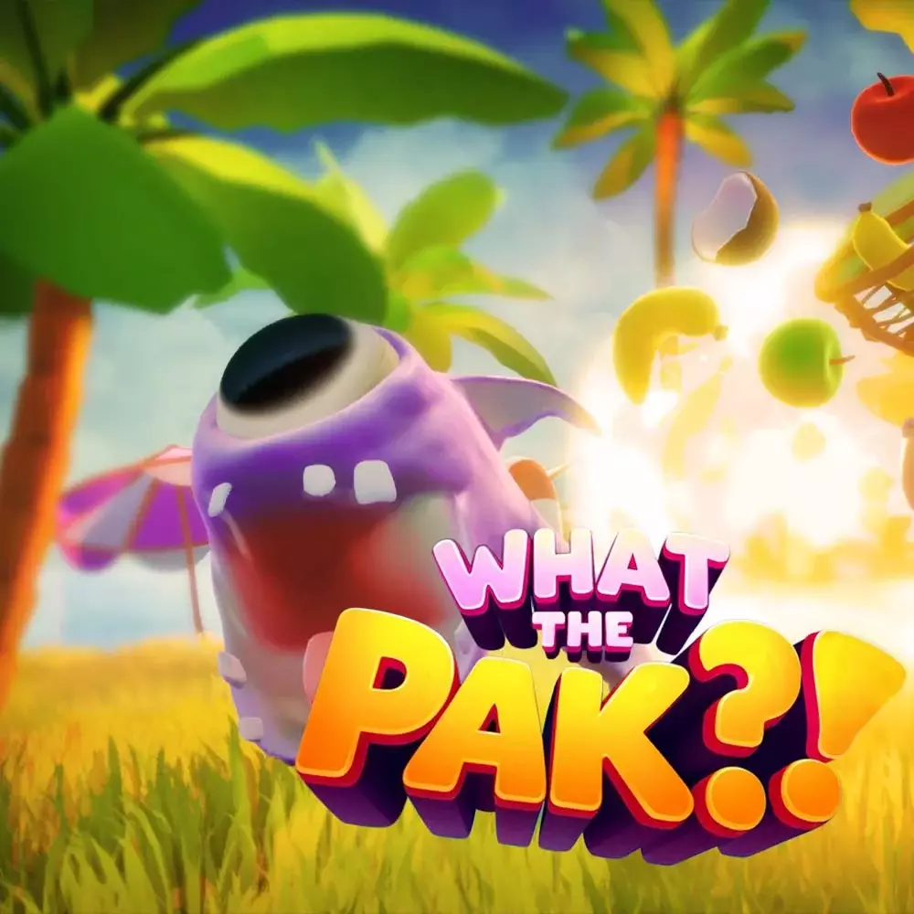 这什么玩意？！