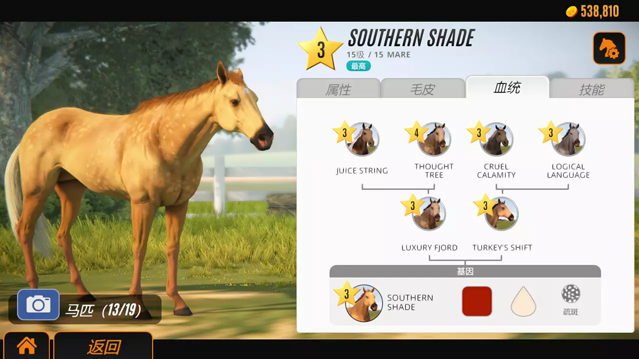 竞技明星赛马-Rival Stars Horse Racing: Desktop Edition-游戏截图-好玩游戏库