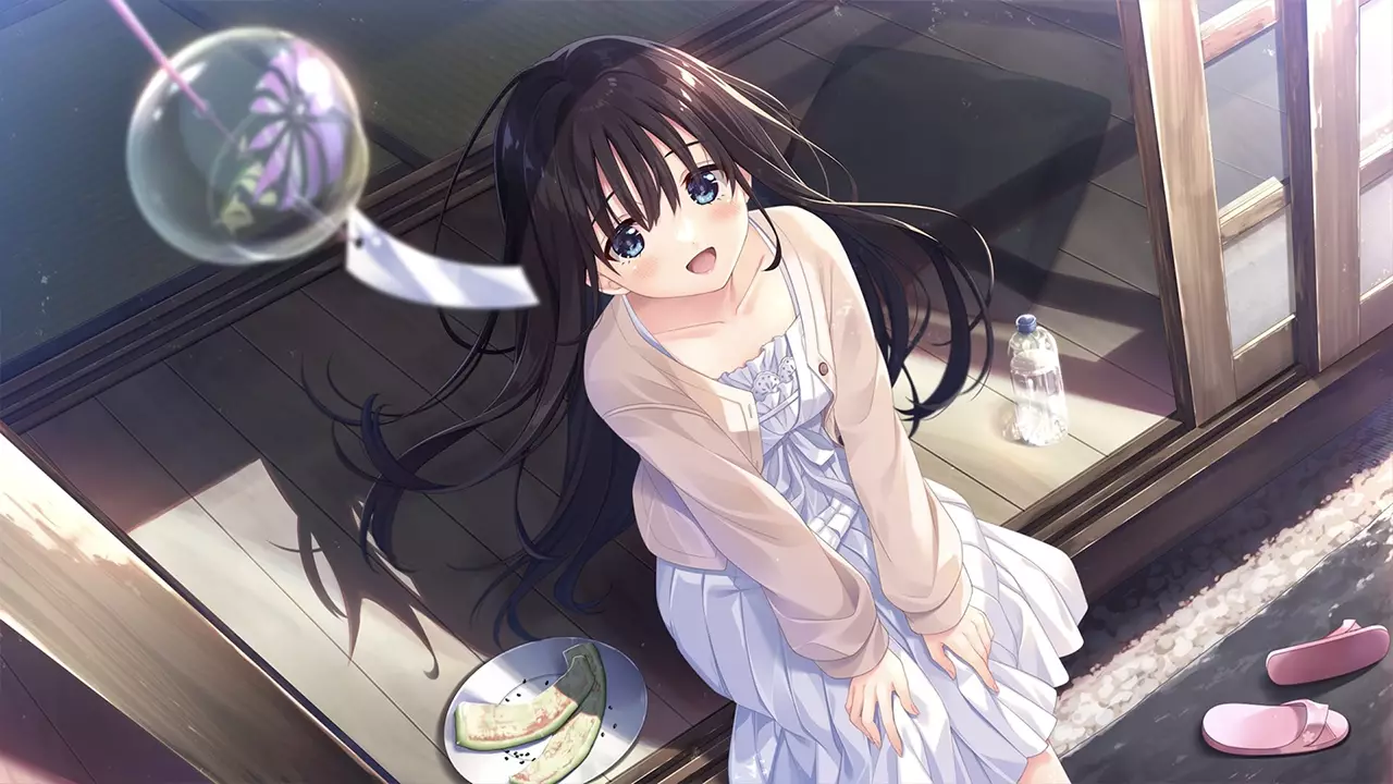 痴情哥哥与病弱妹妹的乡间生活-Sickly Days and Summer Traces-游戏截图-好玩游戏库