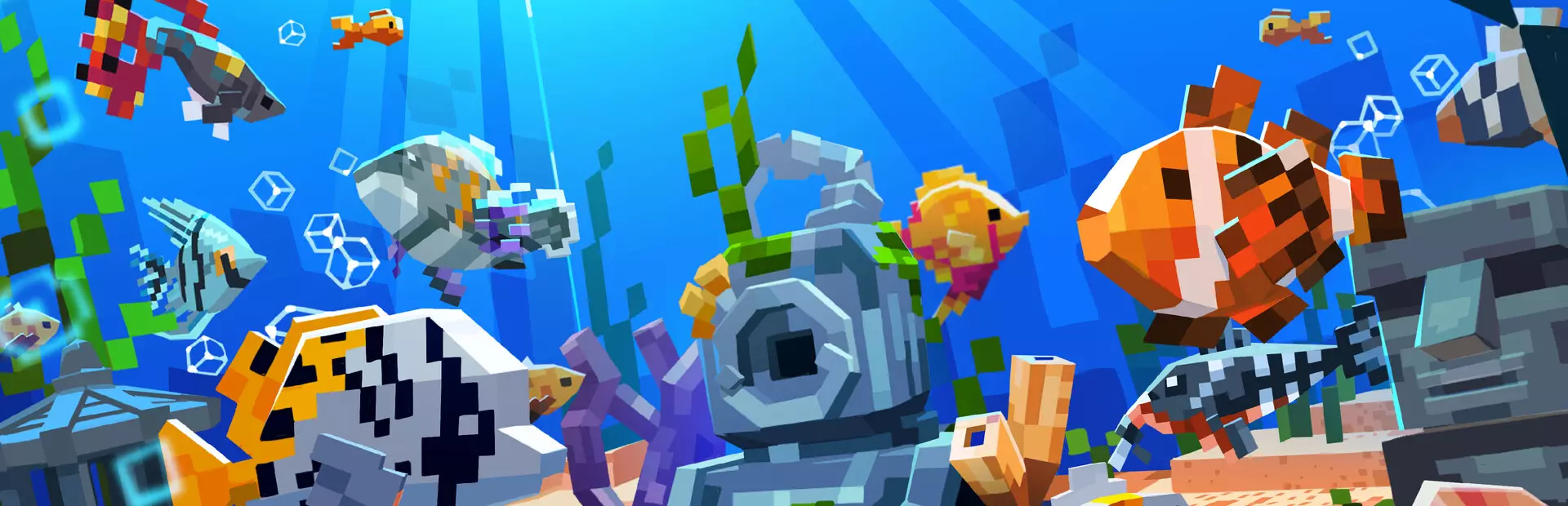 全球鱼友俱乐部：放置好时光