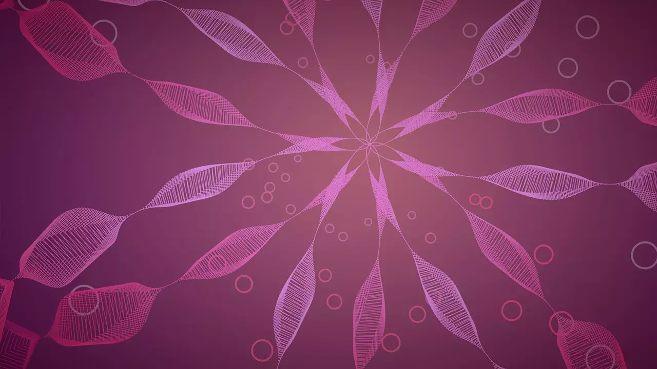 禅意轨迹-Zen Trails-游戏截图-好玩游戏库