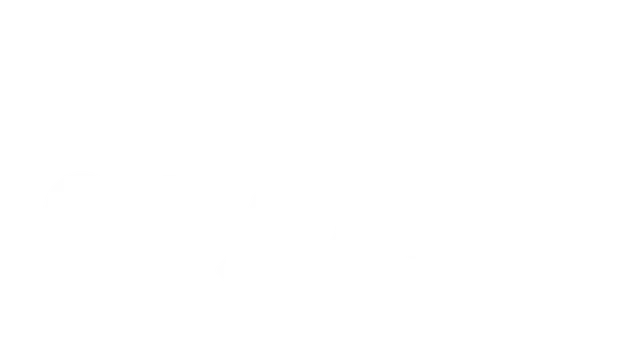 城市司机 | CityDriver