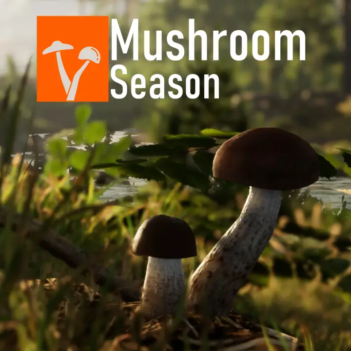 蘑菇季节