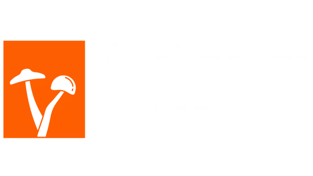 蘑菇季节 | Mushroom Season