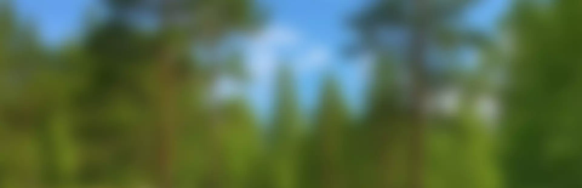 面包咖啡馆模拟器