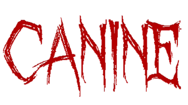 犬类实验 | Canine