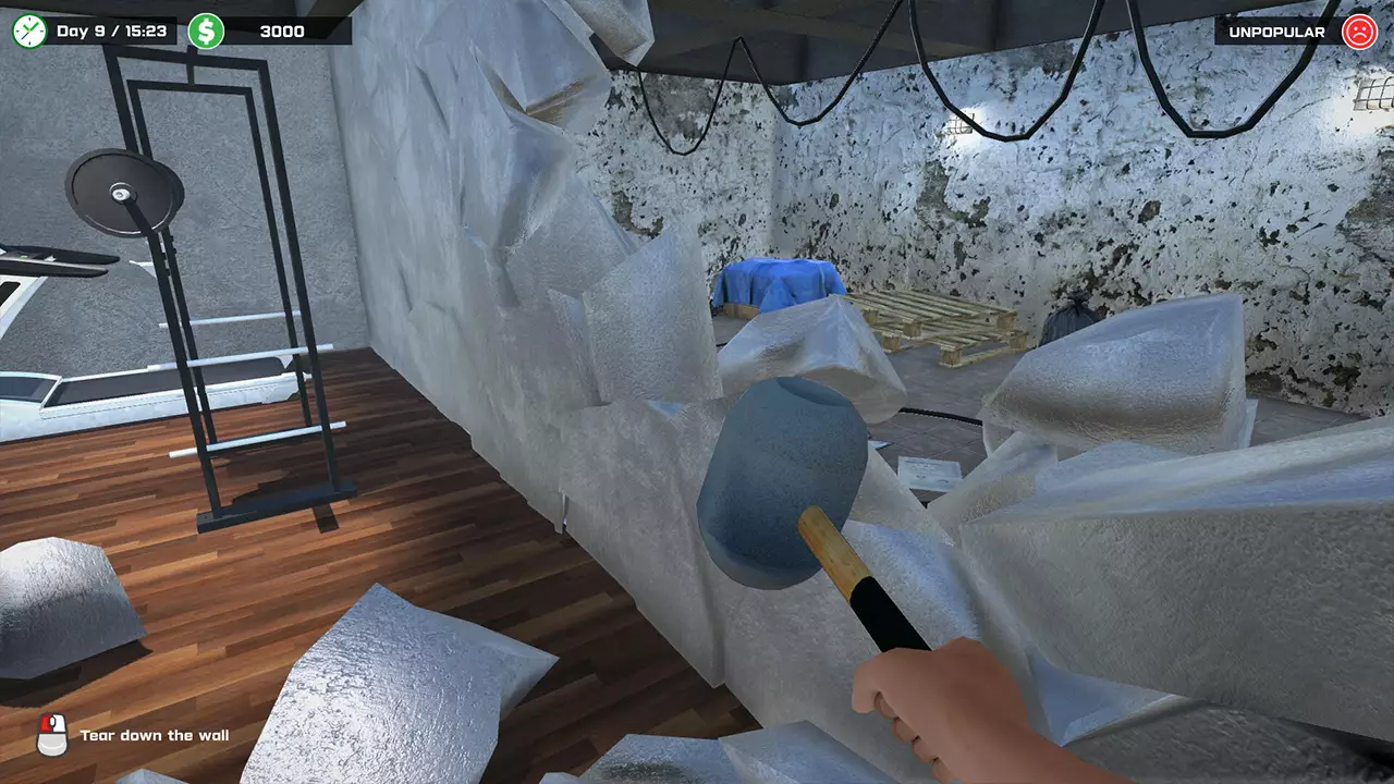 健身房经理-Gym Manager-游戏截图-好玩游戏库