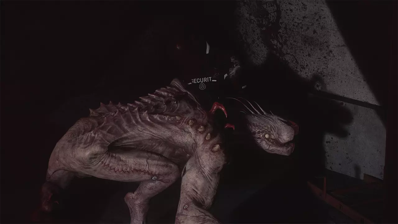 SCP：大流行病-SCP: 5K-游戏截图-好玩游戏库