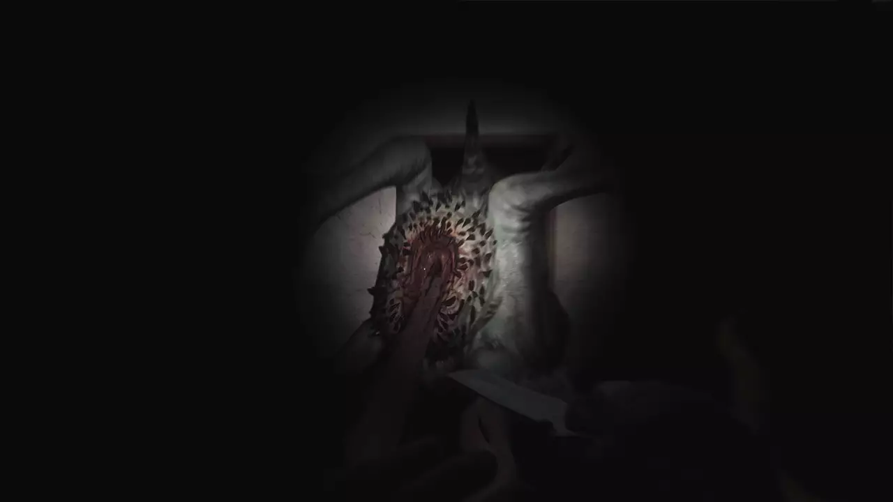 SCP：大流行病-SCP: 5K-游戏截图-好玩游戏库