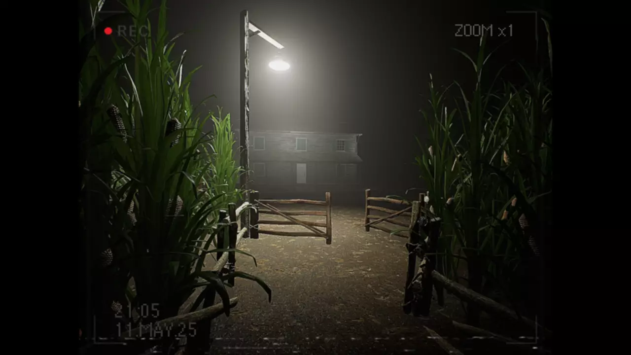 莉莉出了什么事？-What Happened to Lily?-游戏截图-好玩游戏库