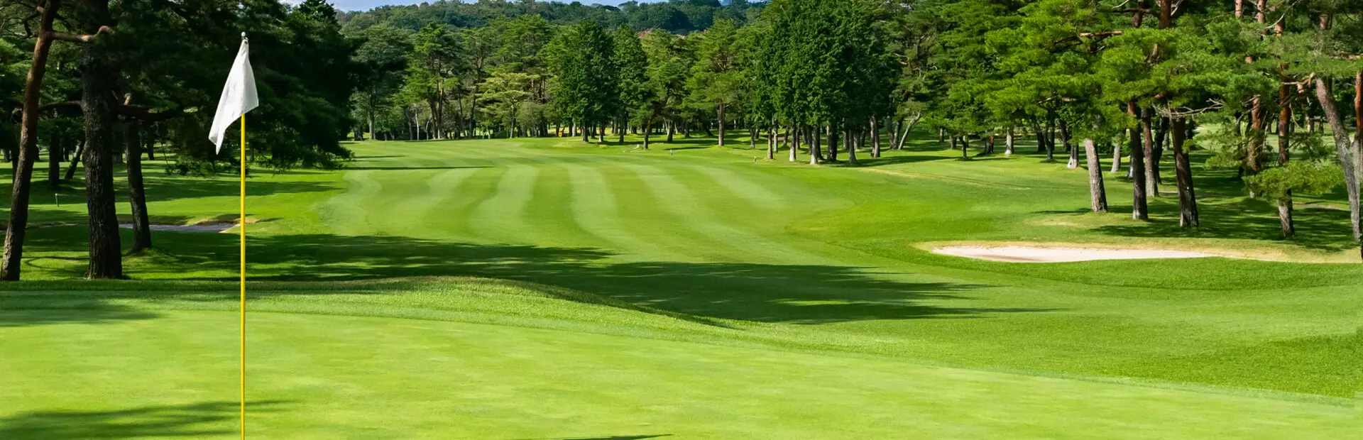 黄金高尔夫街机游戏