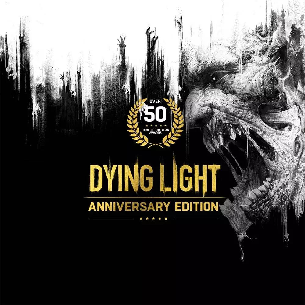 消逝的光芒：周年版