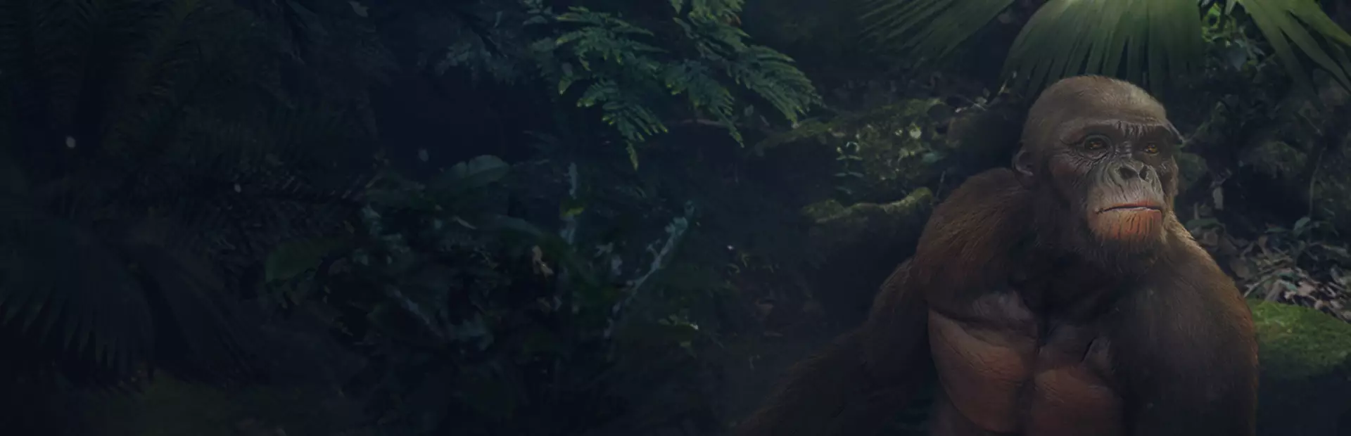 先祖:人类奥德赛