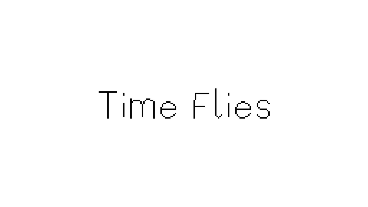 逝者如斯蝇-Time Flies-封面图