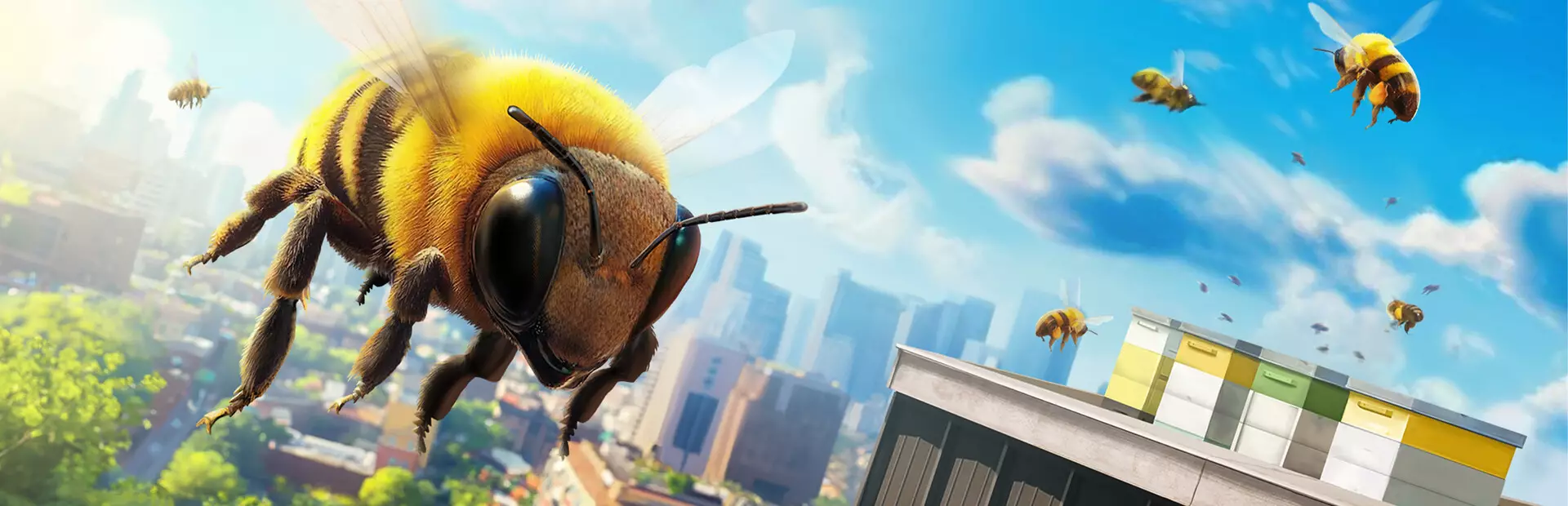 蜜蜂模拟器：蜂巢