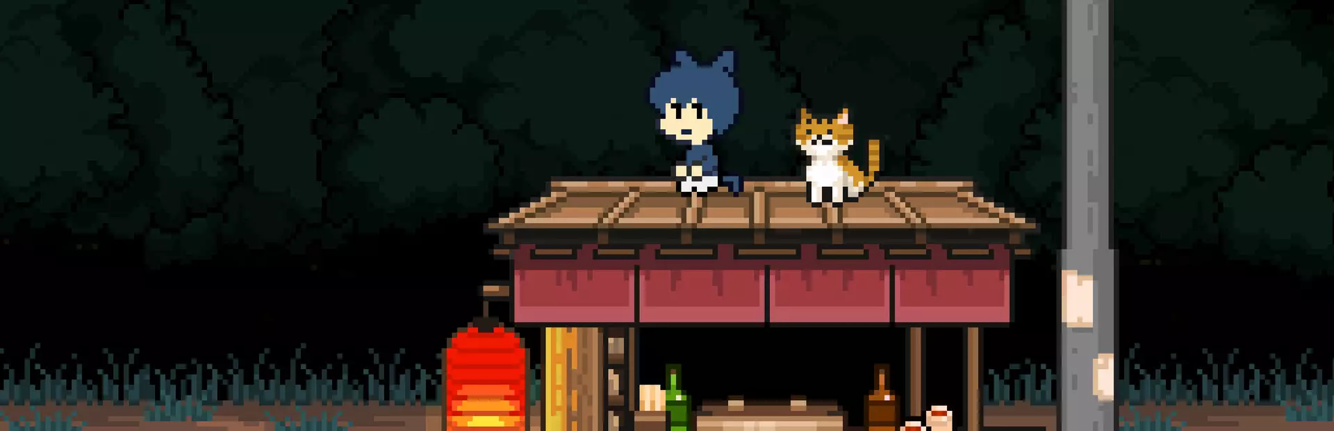 如果猫的愿望能实现