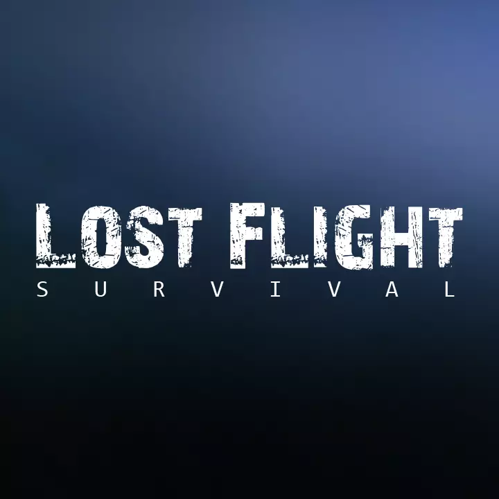 迷失航班：求生之旅