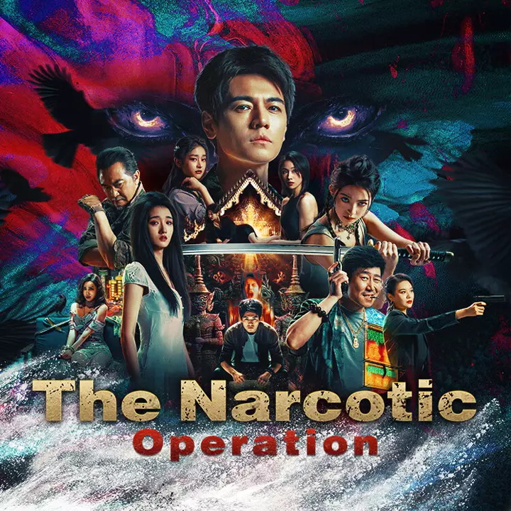 扫毒风暴：宛北往事