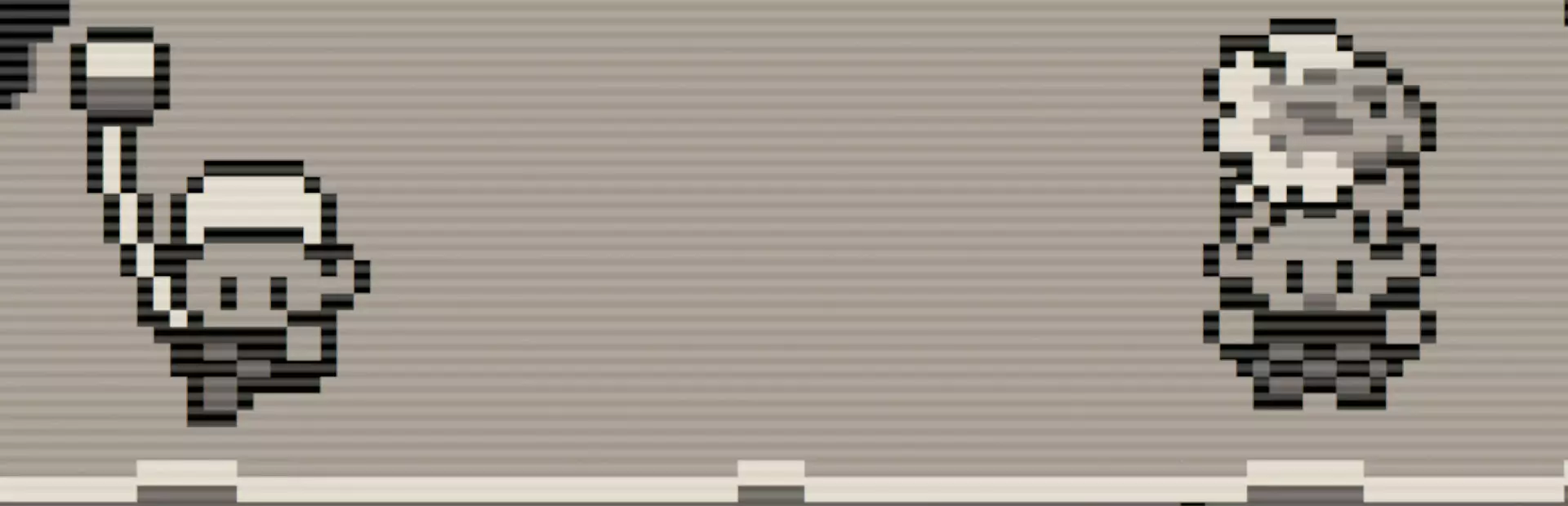 比特增殖：鱼类工艺