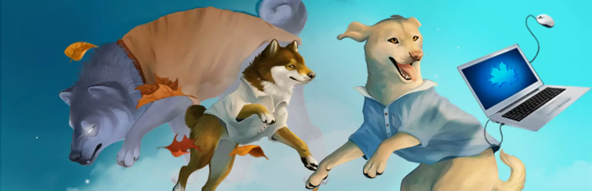 与柴犬共度秋天