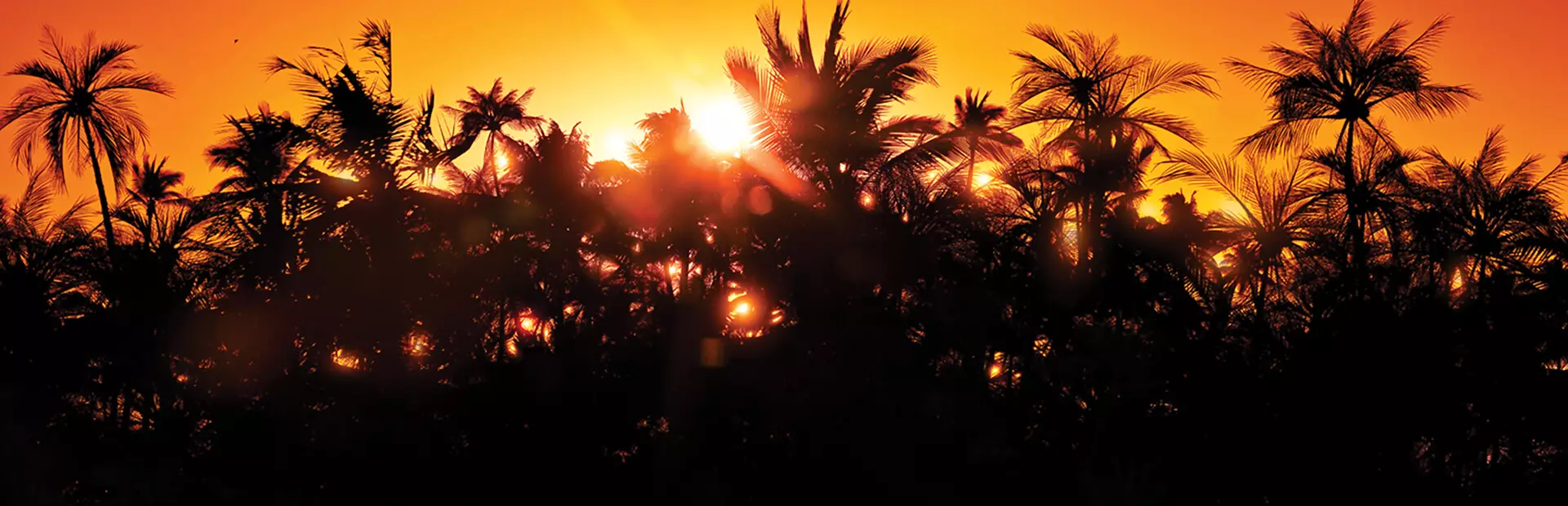 侏罗纪公园：经典游戏合集