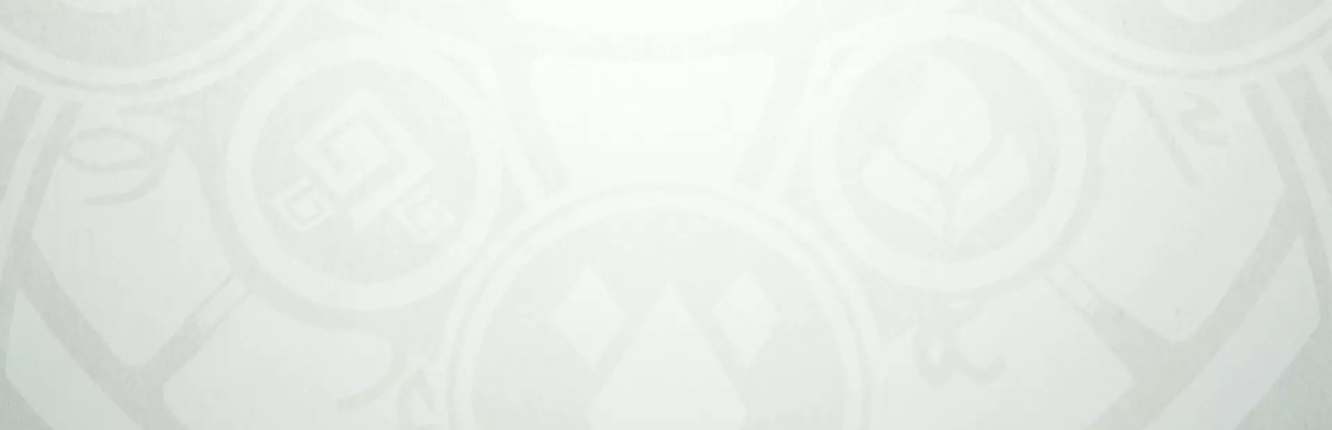 闪亮精灵：雷霆王国