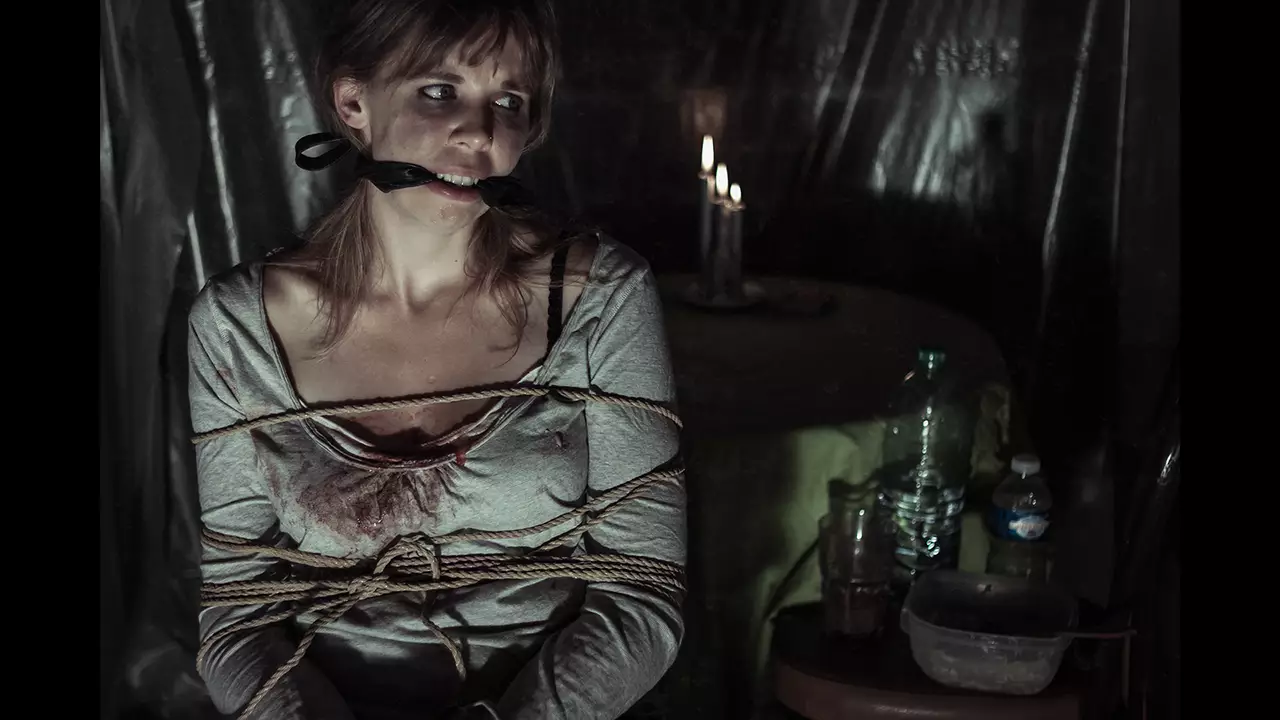 风扇-The Fan-游戏截图-好玩游戏库