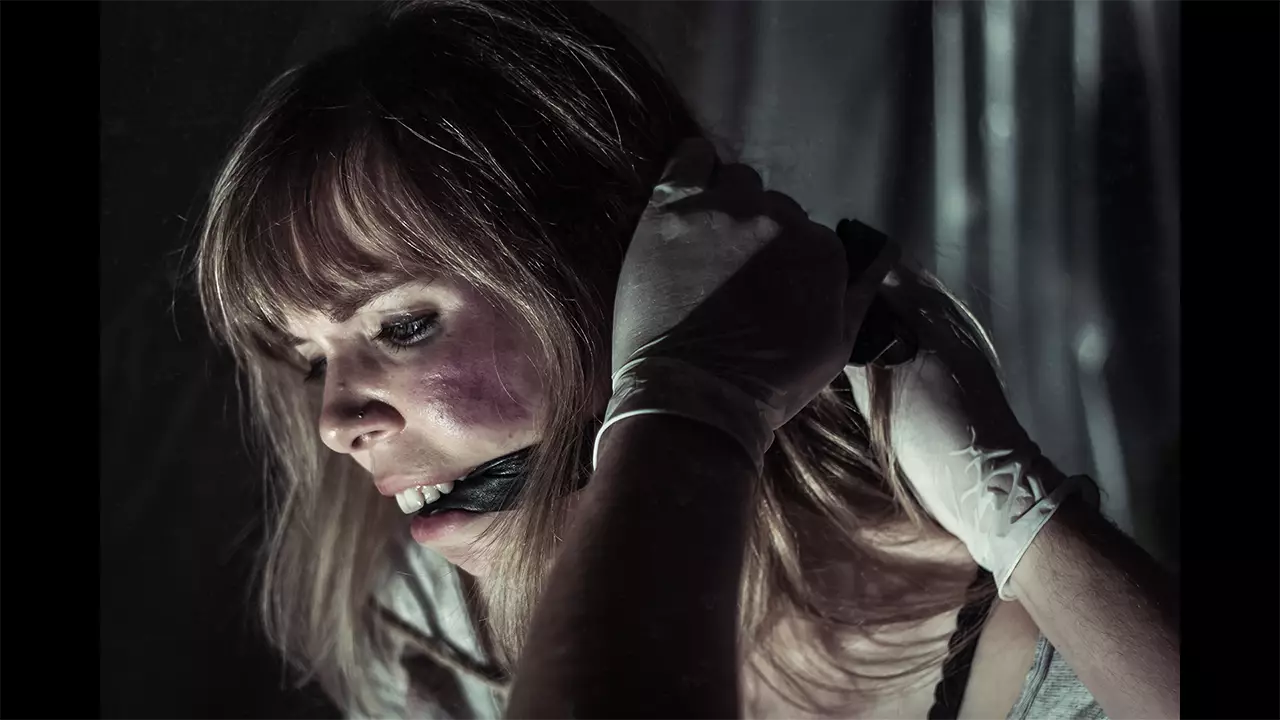 风扇-The Fan-游戏截图-好玩游戏库