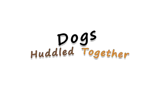 挤在一起的狗狗 | Dogs Huddled Together